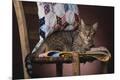Premium Photographic Print
