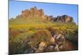 Photographic Print