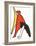 DLM No. 141 Page 10-Alexander Calder-Framed Premium Edition