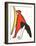 DLM No. 141 Page 10-Alexander Calder-Framed Premium Edition