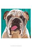 Dlynn's Dogs - Shell-Dlynn Roll-Framed Art Print