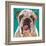 Dlynn's Dogs - Bosco-Dlynn Roll-Framed Art Print