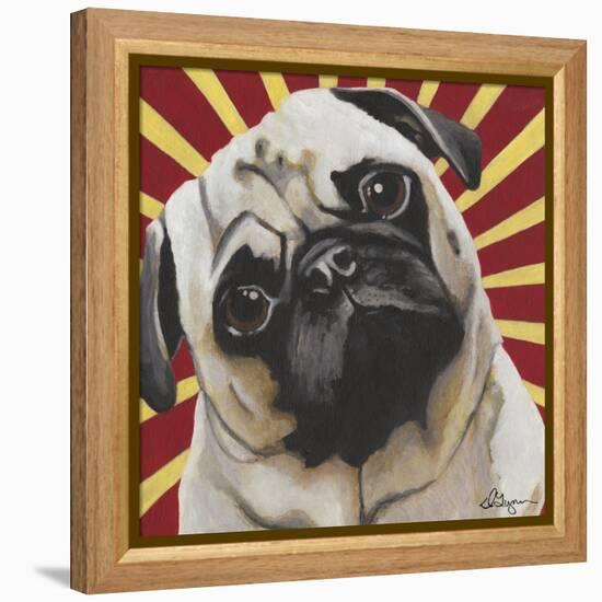 Dlynn's Dogs - Puggins-Dlynn Roll-Framed Stretched Canvas
