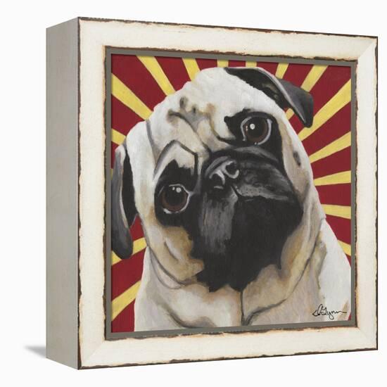 Dlynn's Dogs - Puggins-Dlynn Roll-Framed Stretched Canvas