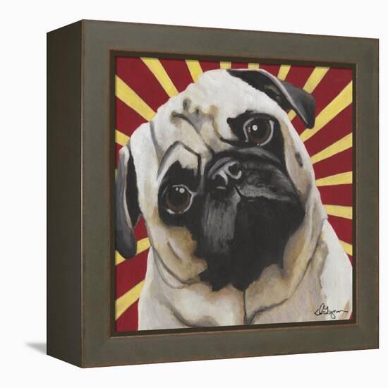 Dlynn's Dogs - Puggins-Dlynn Roll-Framed Stretched Canvas