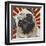 Dlynn's Dogs - Puggins-Dlynn Roll-Framed Art Print