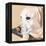 Dlynn's Dogs - Shell-Dlynn Roll-Framed Stretched Canvas