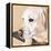 Dlynn's Dogs - Shell-Dlynn Roll-Framed Stretched Canvas