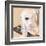 Dlynn's Dogs - Shell-Dlynn Roll-Framed Art Print