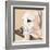 Dlynn's Dogs - Shell-Dlynn Roll-Framed Art Print