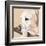 Dlynn's Dogs - Shell-Dlynn Roll-Framed Art Print