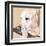 Dlynn's Dogs - Shell-Dlynn Roll-Framed Art Print