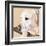 Dlynn's Dogs - Shell-Dlynn Roll-Framed Art Print