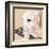 Dlynn's Dogs - Shell-Dlynn Roll-Framed Art Print