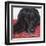 Dlynn's Dogs - Tallulah-Dlynn Roll-Framed Art Print