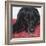 Dlynn's Dogs - Tallulah-Dlynn Roll-Framed Art Print