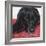 Dlynn's Dogs - Tallulah-Dlynn Roll-Framed Art Print