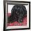 Dlynn's Dogs - Tallulah-Dlynn Roll-Framed Art Print