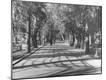 Photographic Print