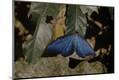 Photographic Print