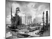 Photographic Print
