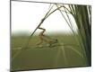 Premium Photographic Print