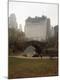 Photographic Print