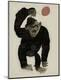 Premium Giclee Print