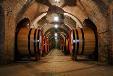 Old Wine Barrels in the Vault of Winery-Dmitriy Yakovlev-Framed Premier Image Canvas