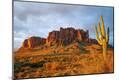 Photographic Print