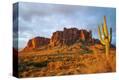 Stretched Canvas Print