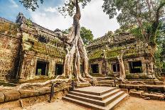 Classical Picture of Ta Prohm Temple, Angkor, Cambodia-dmitry kushch-Photographic Print