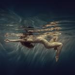 Dives in Beams-Dmitry Laudin-Photographic Print