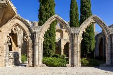 Bellapais Abbey near Kyrenia, Northern Cyprus-Dmitry Pogodin-Framed Photographic Print