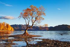 Autumn Landscape, Lake Wanaka, New Zealand-DmitryP-Framed Photographic Print