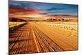Photographic Print
