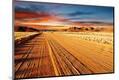 Photographic Print