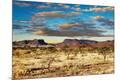 Photographic Print