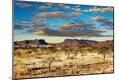 Photographic Print