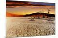 Photographic Print