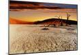 Photographic Print