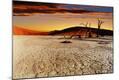 Premium Photographic Print