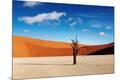 Photographic Print
