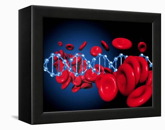 DNA And Red Blood Cells-Victor Habbick-Framed Premier Image Canvas