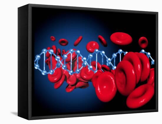 DNA And Red Blood Cells-Victor Habbick-Framed Premier Image Canvas