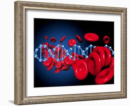 DNA And Red Blood Cells-Victor Habbick-Framed Photographic Print