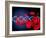 DNA And Red Blood Cells-Victor Habbick-Framed Photographic Print