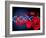 DNA And Red Blood Cells-Victor Habbick-Framed Photographic Print
