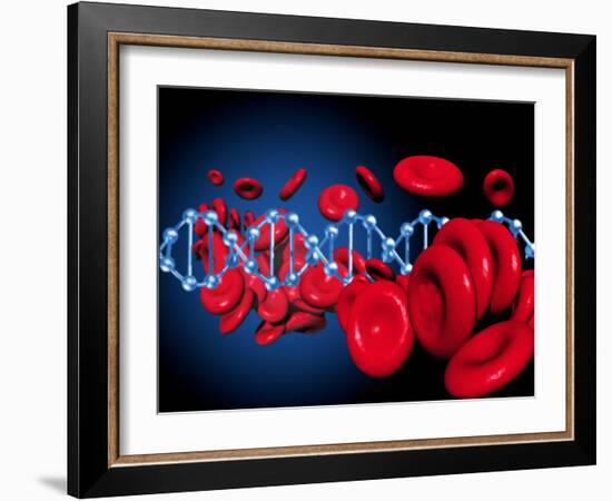 DNA And Red Blood Cells-Victor Habbick-Framed Photographic Print