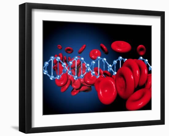 DNA And Red Blood Cells-Victor Habbick-Framed Photographic Print